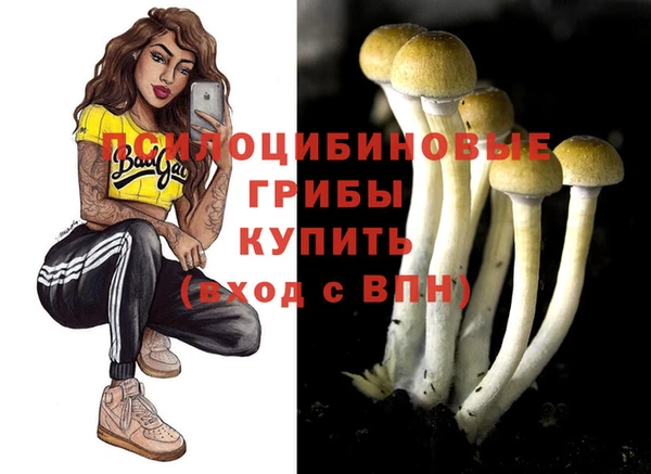прущая мука Алексин