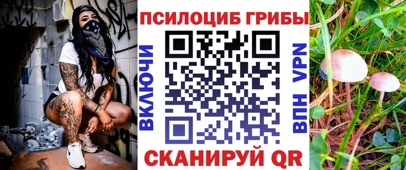 Галлюциногенные грибы мицелий  как найти   Билибино 