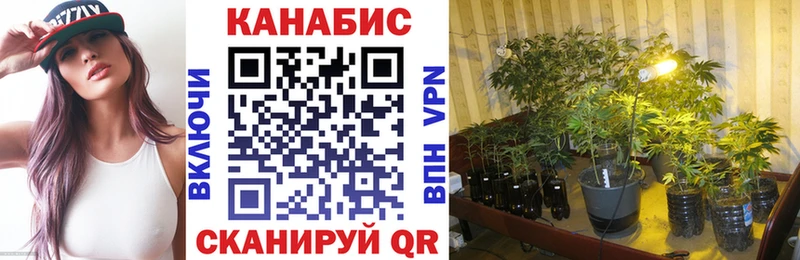 Бошки марихуана семена  Билибино 